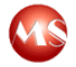MS Motor Co. Ltd